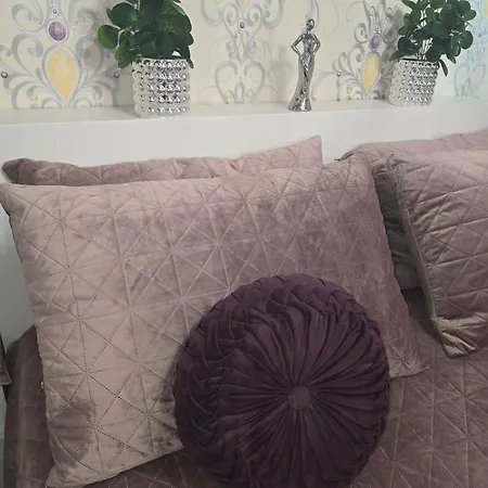For Rent In Jozsef Attila Street 6 Number Hajdúszoboszló